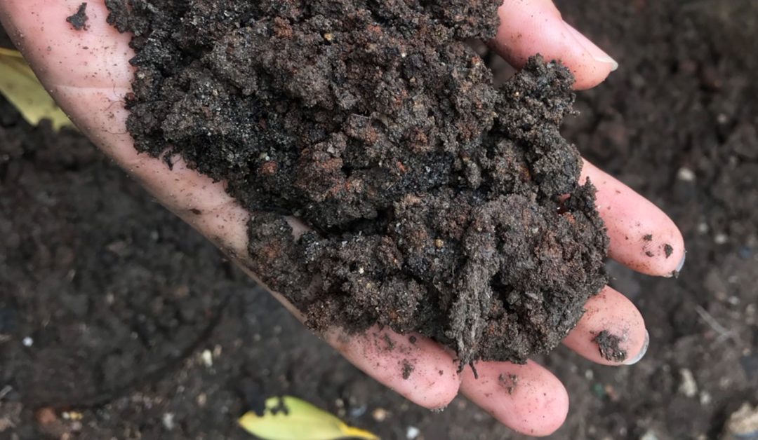 แปลงลังกระดาษให้กลายเป็นถังปุ๋ยหมักสุดเจ๋ง!