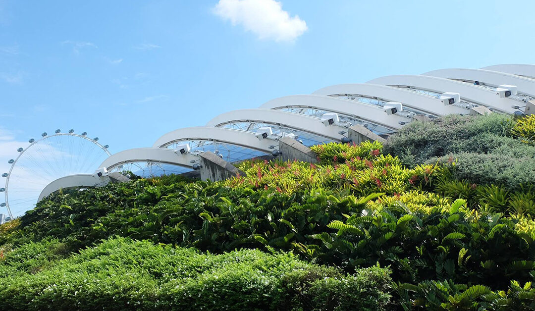 Circular Design กับการขับเคลื่อนเศรษฐกิจหมุนเวียน (2): Circular Design กับมาตรฐานเศรษฐกิจหมุนเวียน